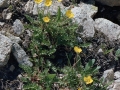 Wild Basin Hiking