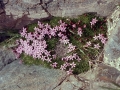 Wild Basin Hiking