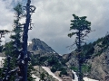 Wild Basin Hiking