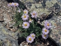 Wild Basin Hiking