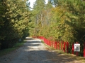 Sunken Lake Campground - Alpena County, MI
