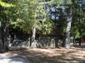 Sunken Lake Campground - Alpena County, MI