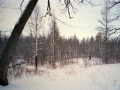 Winter Camping in Wisconsin