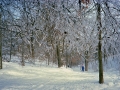 86-01_XC_Skiing_04_Reduced