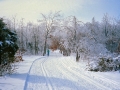 86-01_XC_Skiing_10