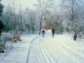 86-01_XC_Skiing_11_Reduced