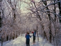 86-01_XC_Skiing_13_Reduced