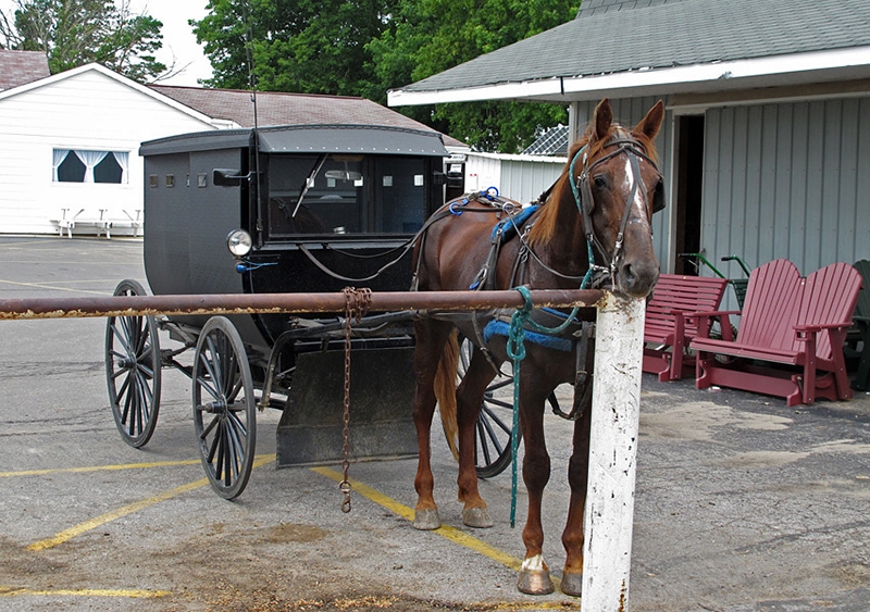 A side trip to Amish country