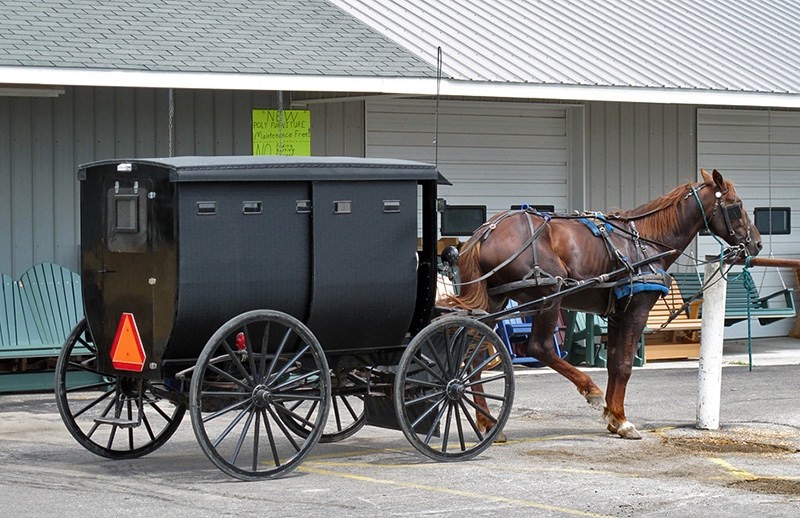 A side trip to Amish country