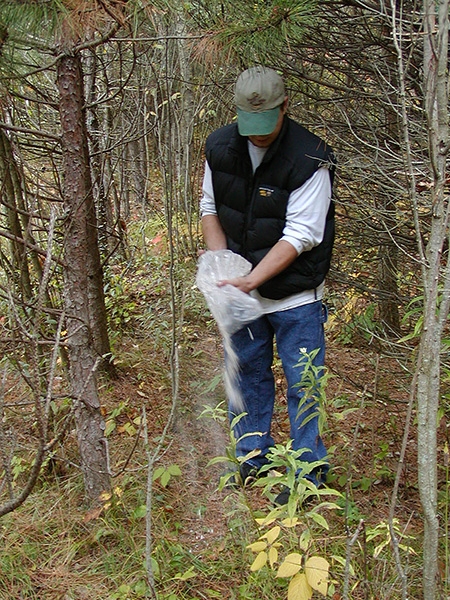 Scott scattering Dad's ashes
