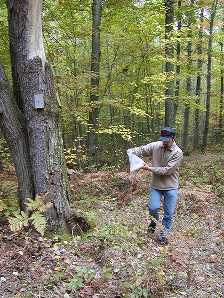 Dale scattering Dad's ashes