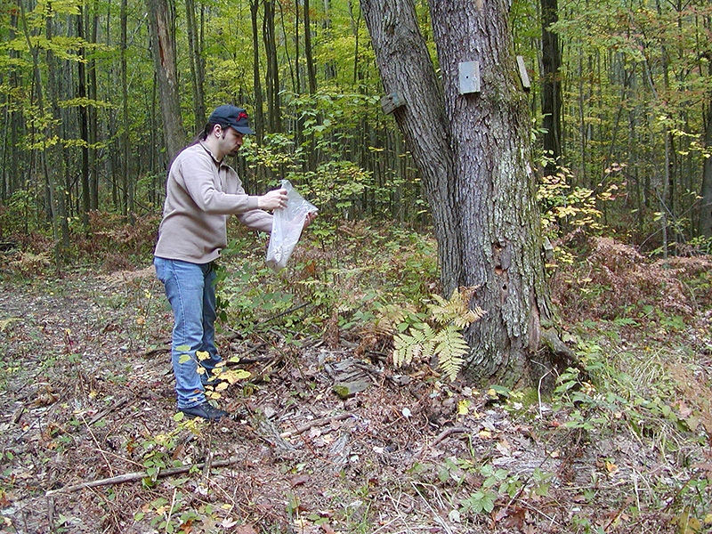 Dale scattering Dad's ashes