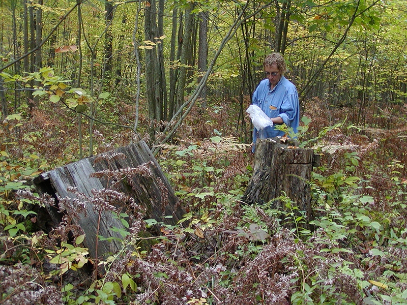 Sue scattering Dad's ashes