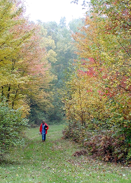 Sue's Last Walk with Dad