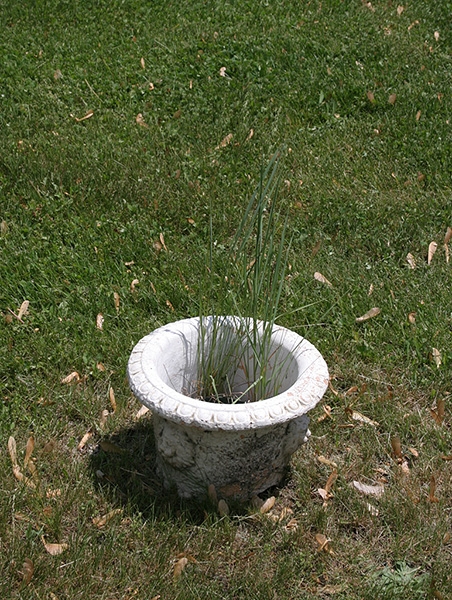 Burial site - Lloyd Block's ashes