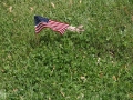 Burial site - Lloyd Block's ashes