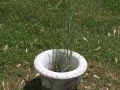 Burial site - Lloyd Block's ashes