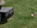Burial site - Lloyd Block's ashes