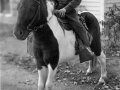 1950s+Phil+on+Pony+Berkley-3163798357-O