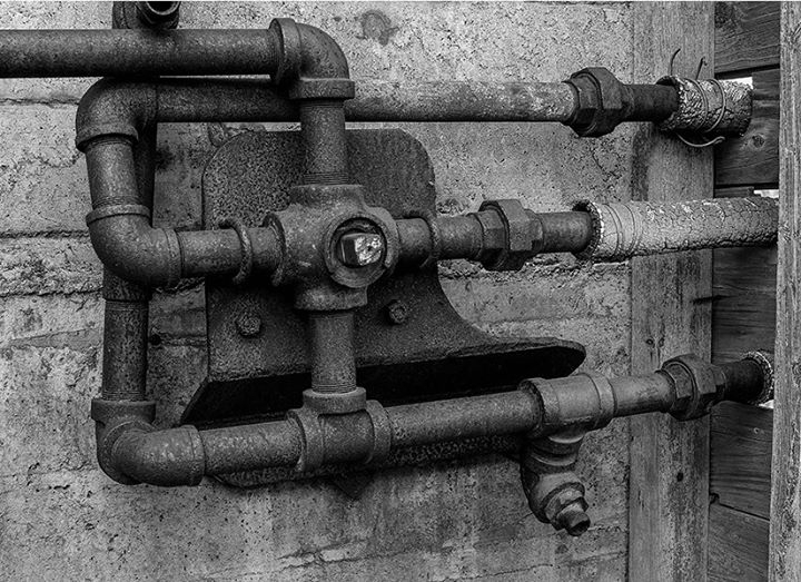 Shades of Gray