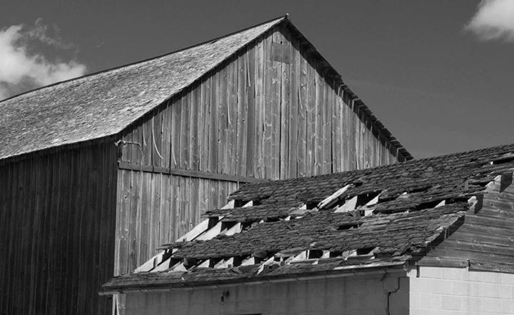 Shades of Gray