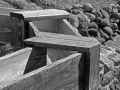Shades of Gray