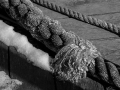 Shades of Gray