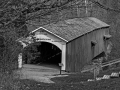 Shades of Gray