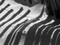Shades of Gray