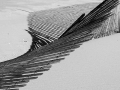 Shades of Gray