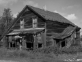 Shades of Gray