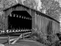 Shades of Gray