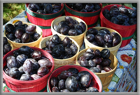 Purple Plums