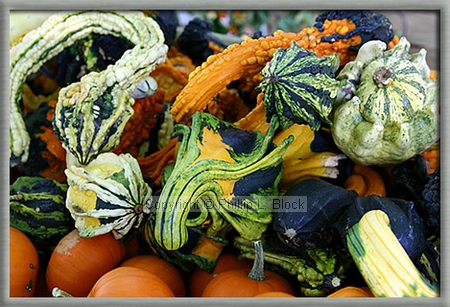 Assorted Gourds