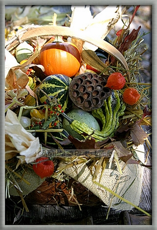Autumn's Bounty