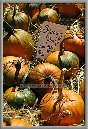 Squashy Punks