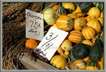 Broomcorn and Gourds