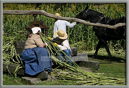 Sorghum Press