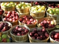 Baskets of Apples