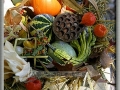 Autumn's Bounty
