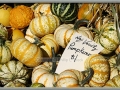 New Variety Punkemons