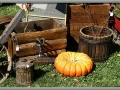 Flea Market Treasures