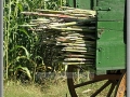 Sorghum Wagon